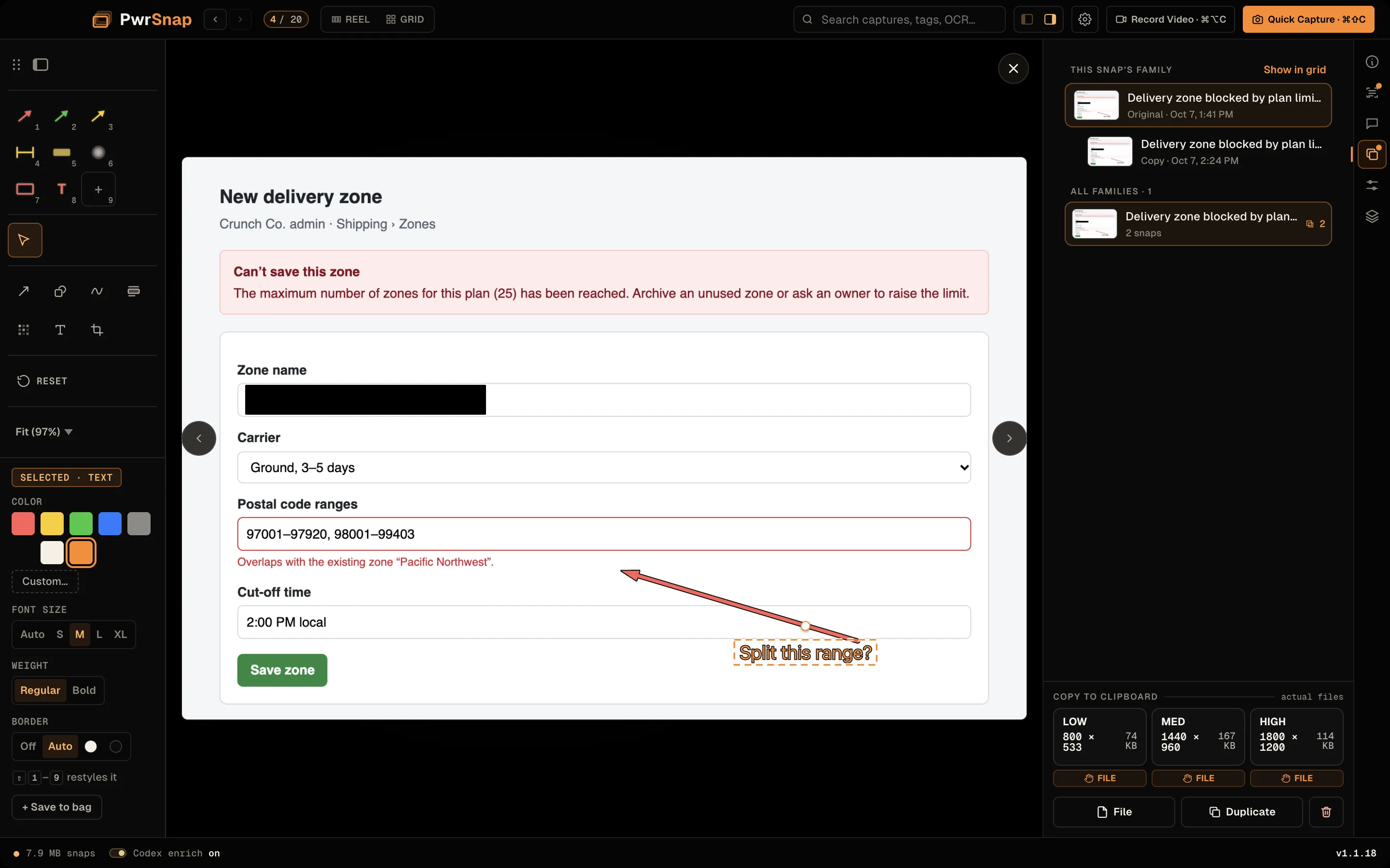 The same delivery-zone form capture with the Family tab open in the right rail. Under the heading THIS SNAP'S FAMILY are the original, titled “Delivery zone blocked by plan limit”, and one copy beneath it, with a Show in grid button.