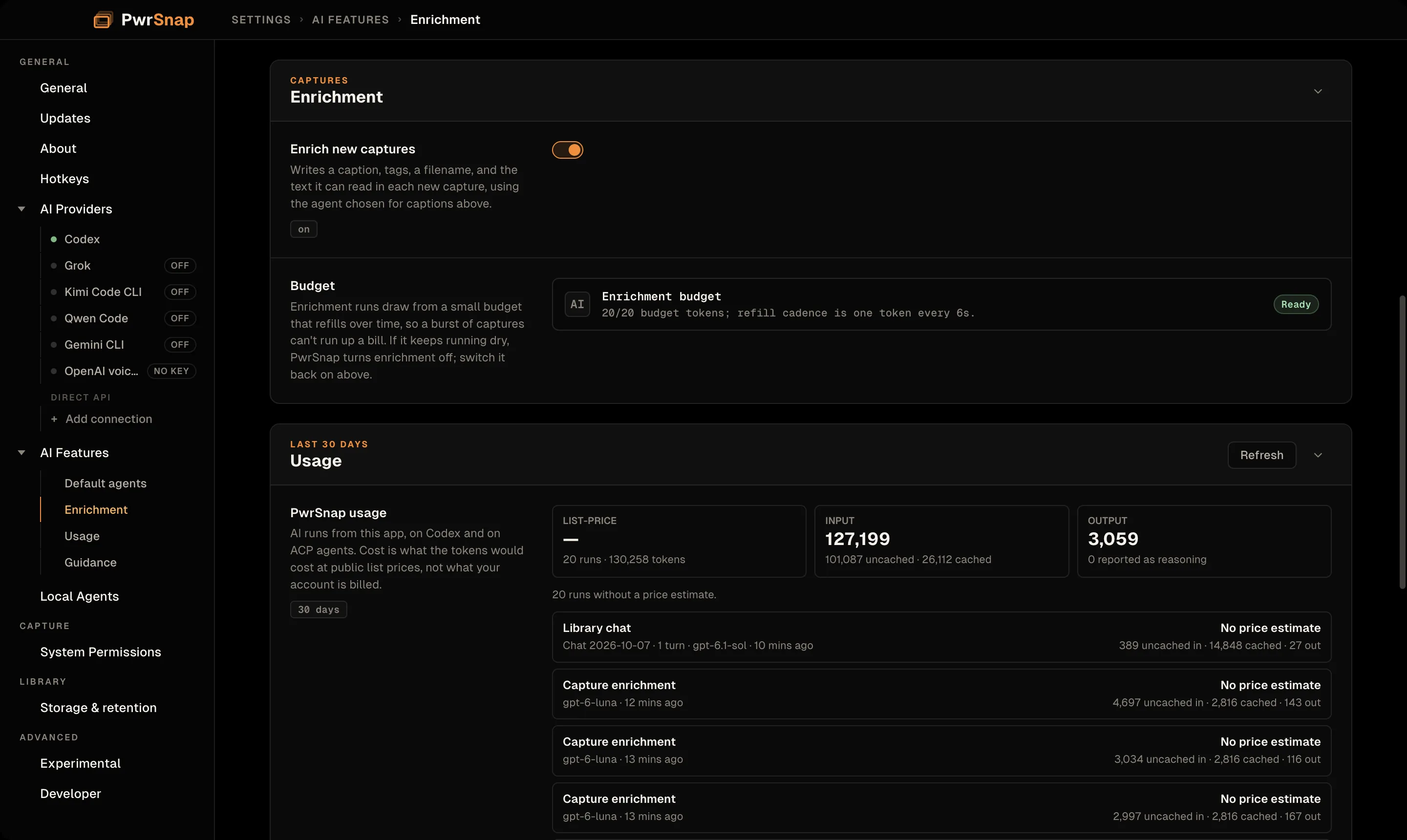 Settings, AI Features, Enrichment. Enrich new captures is switched on. The Budget row reads 20/20 budget tokens; refill cadence is one token every 6s, with a Ready badge. The Usage card begins below.